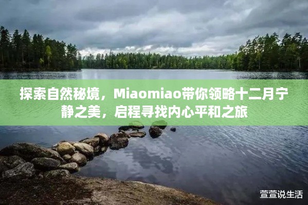 Miaomiao带你探索十二月自然秘境，领略宁静之美的心灵之旅