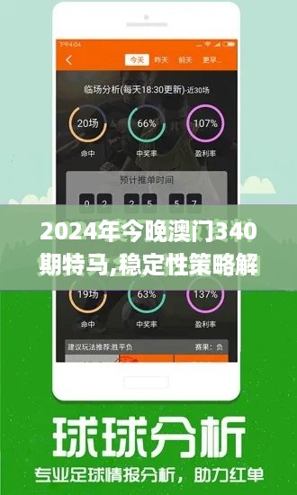 2024年今晚澳门340期特马,稳定性策略解析_L版69.735-5