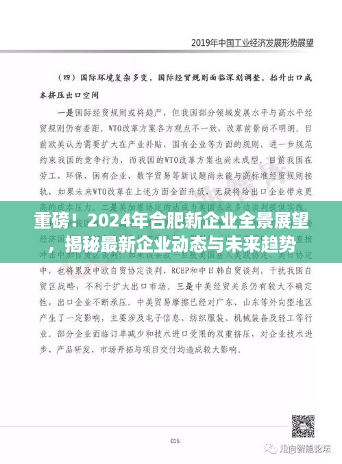 揭秘合肥新企业未来动态与趋势展望，2024年全景展望重磅来袭！