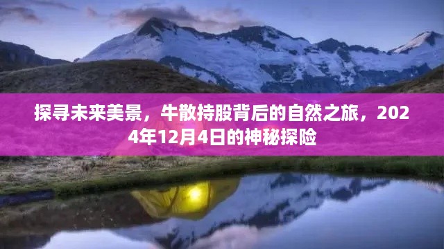 牛散持股背后的未来美景探寻，神秘探险之旅启程于2024年12月4日