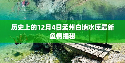 揭秘历史鱼情，孟州白墙水库最新鱼情揭秘（12月4日）