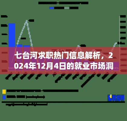 七台河求职热门信息解析及就业市场洞察（2024年12月4日）