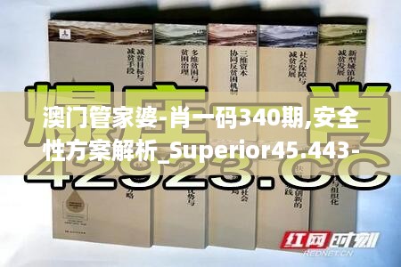 澳门管家婆-肖一码340期,安全性方案解析_Superior45.443-1