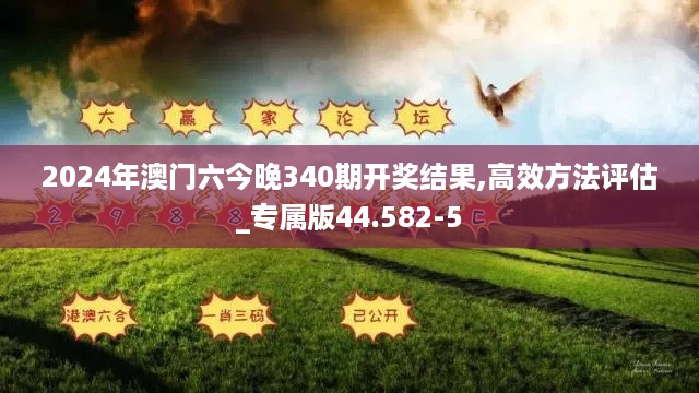 2024年澳门六今晚340期开奖结果,高效方法评估_专属版44.582-5