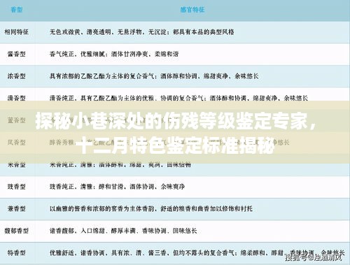 探秘小巷深处的伤残等级鉴定专家，十二月特色鉴定标准深度解析