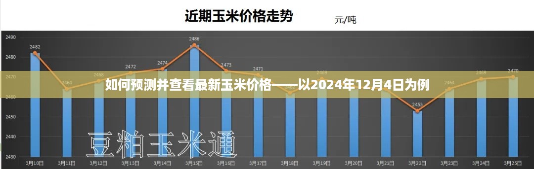 如何预测和查看玉米最新价格趋势，以未来日期为例（2024年12月4日）