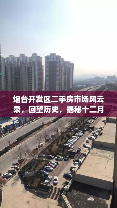 烟台开发区二手房市场风云揭秘，最新房源背后的故事与回望历史