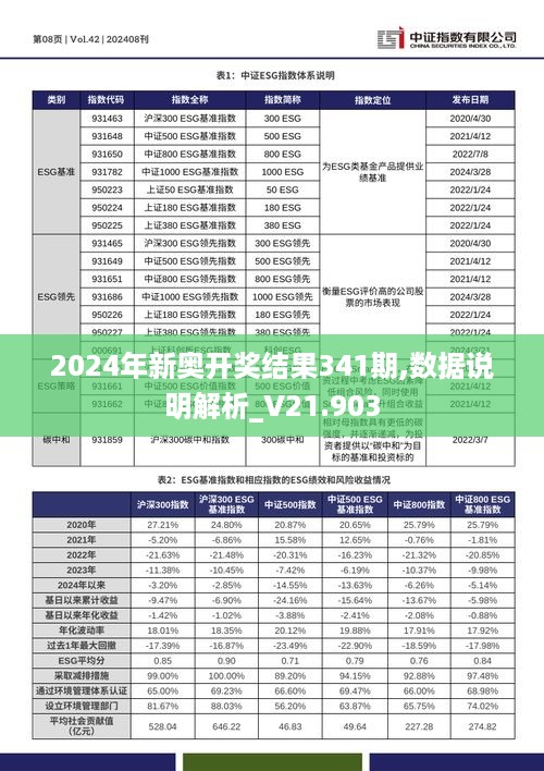 2024年新奥开奖结果341期,数据说明解析_V21.903