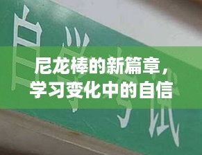 尼龙棒新篇章揭秘，自信与成就感中学习，2024年最新价格展望引领行业未来