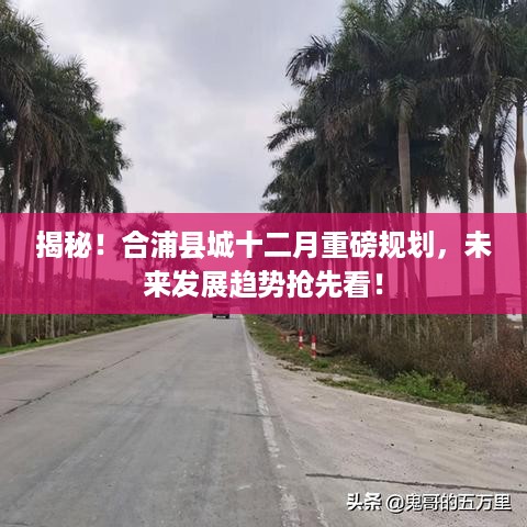 合浦县城十二月发展规划揭秘，未来趋势抢先看！