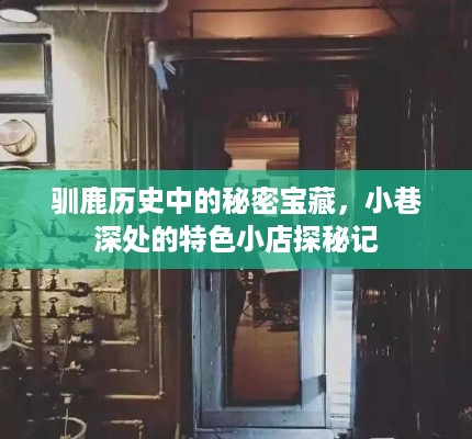 驯鹿历史中的秘密宝藏与小巷深处的特色小店探秘之旅