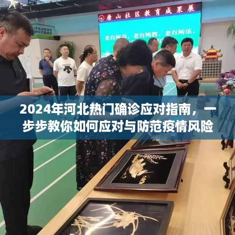 2024年河北疫情应对指南，应对与防范疫情风险的步骤