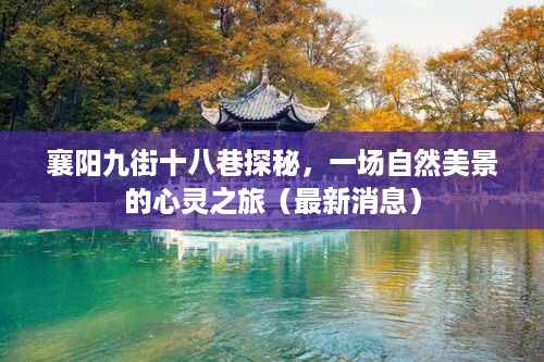 襄阳九街十八巷探秘，自然美景的心灵之旅最新动态