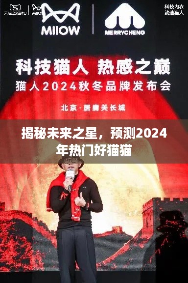 揭秘未来之星，预测2024年热门猫咪风潮