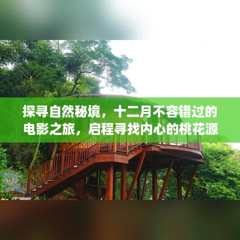 十二月电影之旅，探寻自然秘境，寻觅内心桃花源