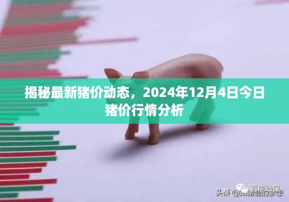 揭秘最新猪价动态，今日行情分析与预测（2024年12月4日）