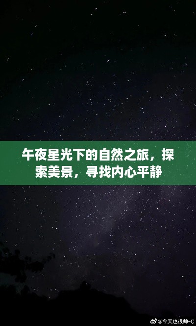 午夜星光下的自然探索之旅，追寻美景与内心平静