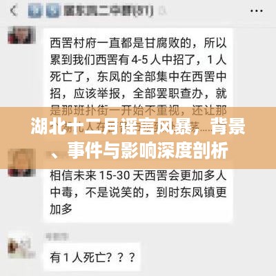 湖北十二月谣言风暴，背景、事件与深度影响的全面剖析