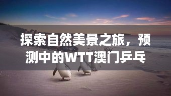 自然探索与心灵宁静之旅，WTT澳门乒乓球赛预测与心灵成长之旅