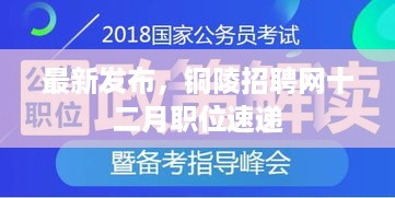 铜陵招聘网十二月职位速递新鲜发布