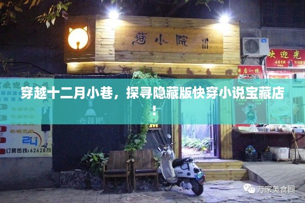 穿越十二月小巷，探寻快穿小说宝藏店的神秘之旅！