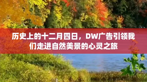 DW广告引领心灵之旅，十二月四日自然美景回顾