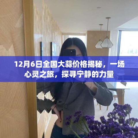 全国大蒜价格揭秘背后的心灵之旅，探寻宁静的力量