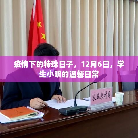 疫情下的特殊日常，学生小明温馨日常记录——12月6日