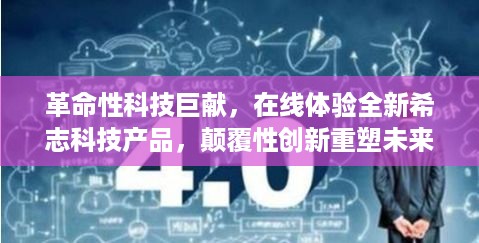 2024年12月7日 第56页