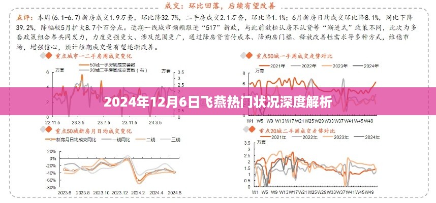 飞燕状况深度解析，2024年12月6日热门动态概览