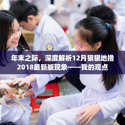 年末之际，解析猛烈撸取2018最新版现象——个人观点深度探讨