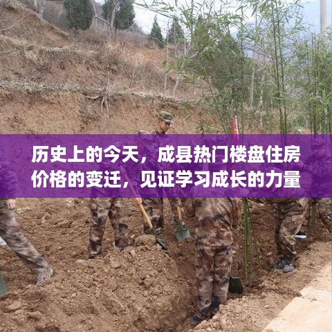 成县楼盘住房价格变迁见证梦想家园的成长与辉煌历史回顾