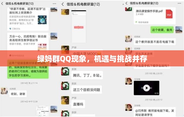 绿妈群QQ现象，机遇与挑战的并存