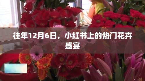 小红书热门花卉盛宴，每年的12月6日盛况回顾