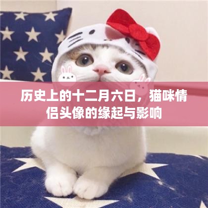 猫咪情侣头像的缘起与影响，历史十二月六日的回顾与探究