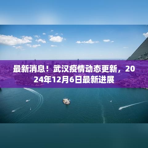 武汉疫情最新进展报告，2024年12月6日动态更新