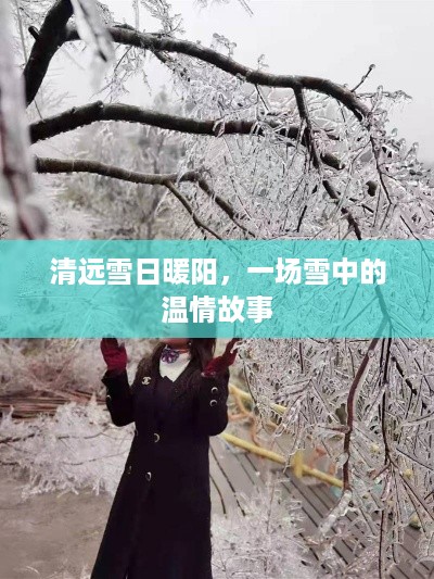 清远雪日暖阳，雪中温情故事揭秘