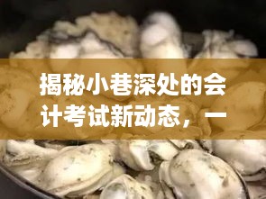 小巷深处的会计考试新动态与特色小店的独特故事揭秘