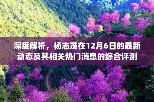 杨志茂最新动态及热门消息深度解析与综合评测（12月6日）