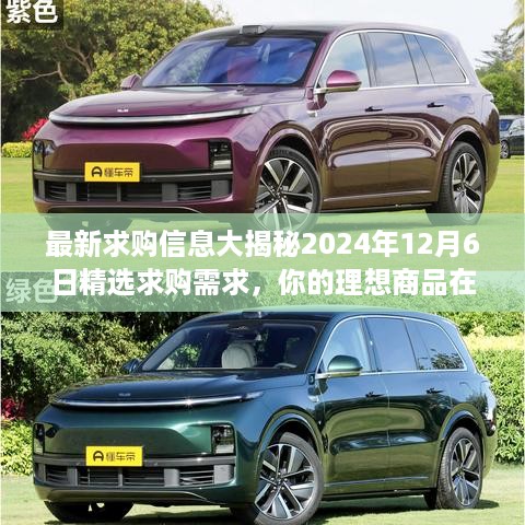 精选求购需求大揭秘，最新求购信息与理想商品等你来选（2024年12月6日）