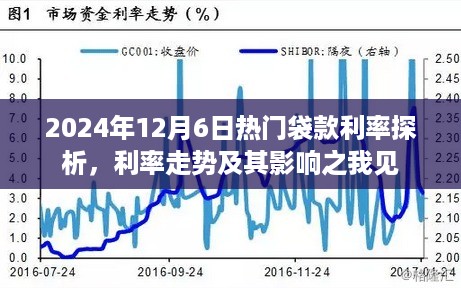 2024年12月6日热门袋款利率探析，利率走势及其影响深度解析