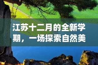 江苏十二月全新学期，自然美景探索之旅，寻找内心宁静与平和