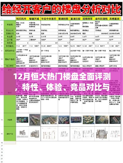 12月恒大热门楼盘全面解析，特性、体验、竞品对比与目标用户深度探讨