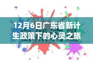 广东省新计生政策下的心灵之旅，探寻自然宁静与和谐之道