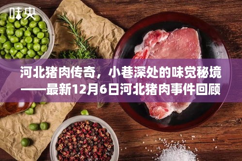 河北猪肉传奇揭秘，小巷深处的味觉秘境与最新事件回顾（12月6日）