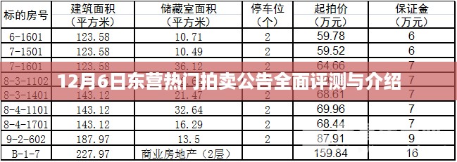 东营热门拍卖公告全面评测与深度介绍（12月6日）