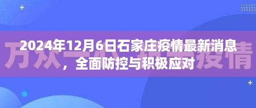 2024年石家庄疫情最新动态，全面防控与积极应对