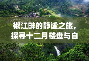 椒江畔的静谧之旅，楼盘与自然和谐共存之道