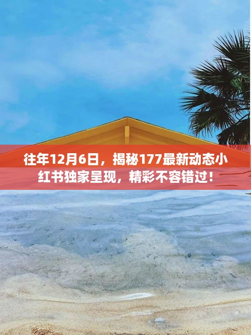 揭秘177最新动态，小红书独家呈现，年度精彩回顾！