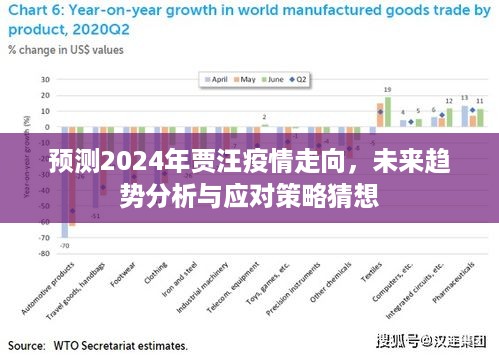 贾汪区未来疫情走向预测，趋势分析及对策猜想，2024年应对策略展望